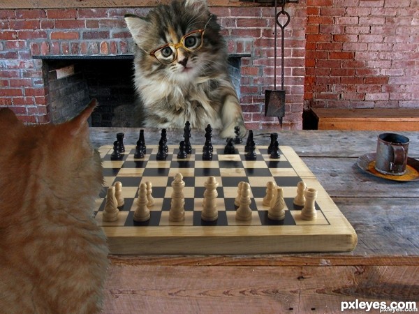 playing chess